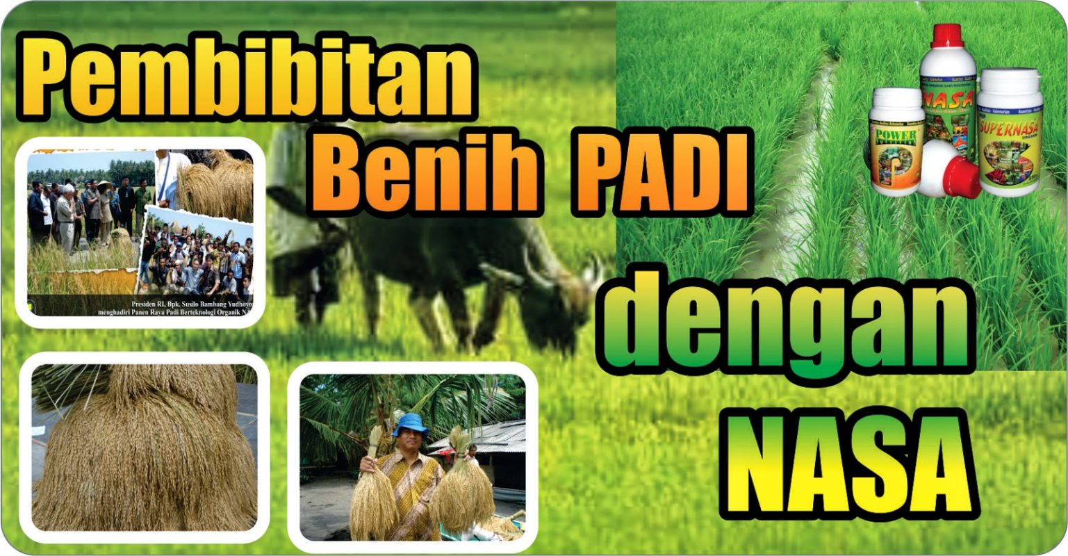 Teknik Budidaya Tanaman Pangan