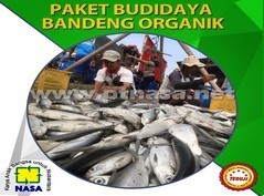 paket pupuk perikanan budidaya bandeng nasa