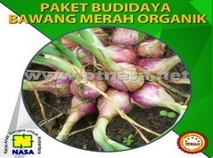 paket pupuk pertanian budidaya bawang merah