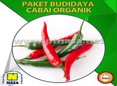 paket pupuk pertanian budidaya cabai nasa