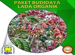 paket pupuk pertanian budidaya lada nasa