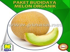 paket budidaya melon nasa