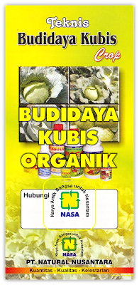 budidaya kubis
