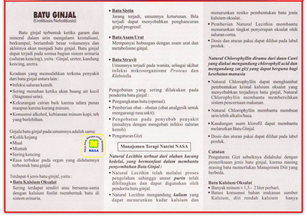obat penyakit batu ginjal