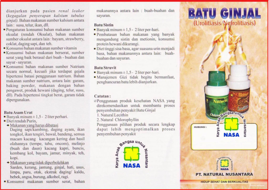 obat penyakit batu ginjal