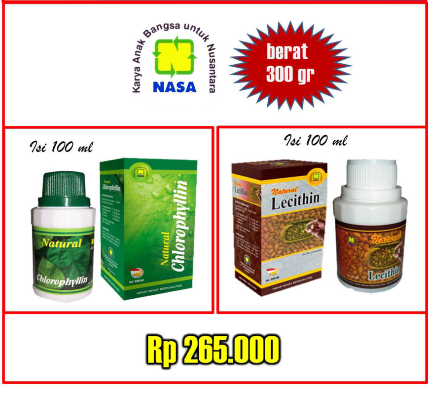 obat penyakit batu ginjal