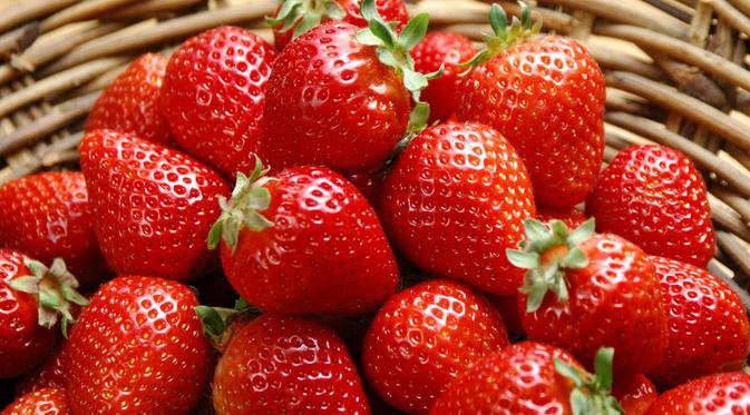 budidaya strawberry