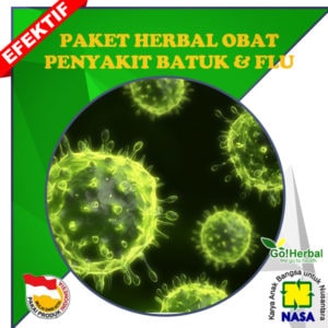 obat batuk dan flu nasa