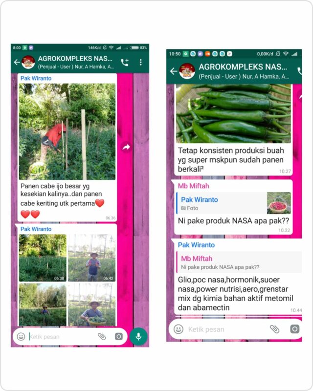 pupuk nasa untuk cabai