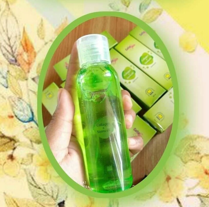 collaskin collagen shampoo stemcell apel
