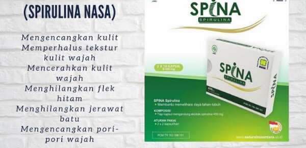 spina nasa