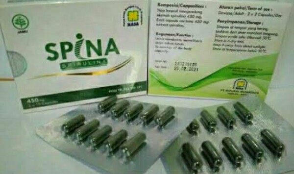 spina nasa